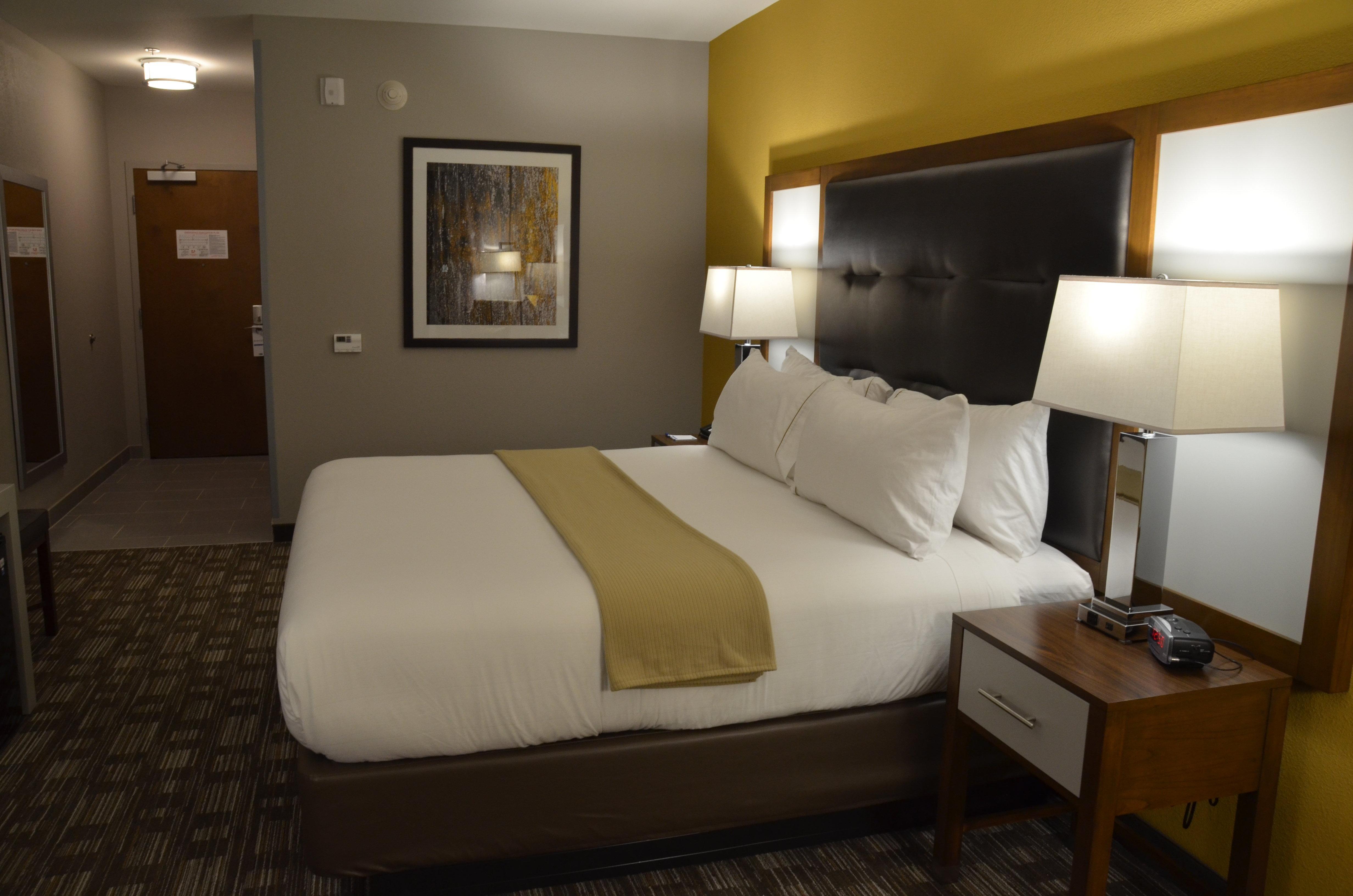 Holiday Inn Express & Suites Albany Exteriér fotografie